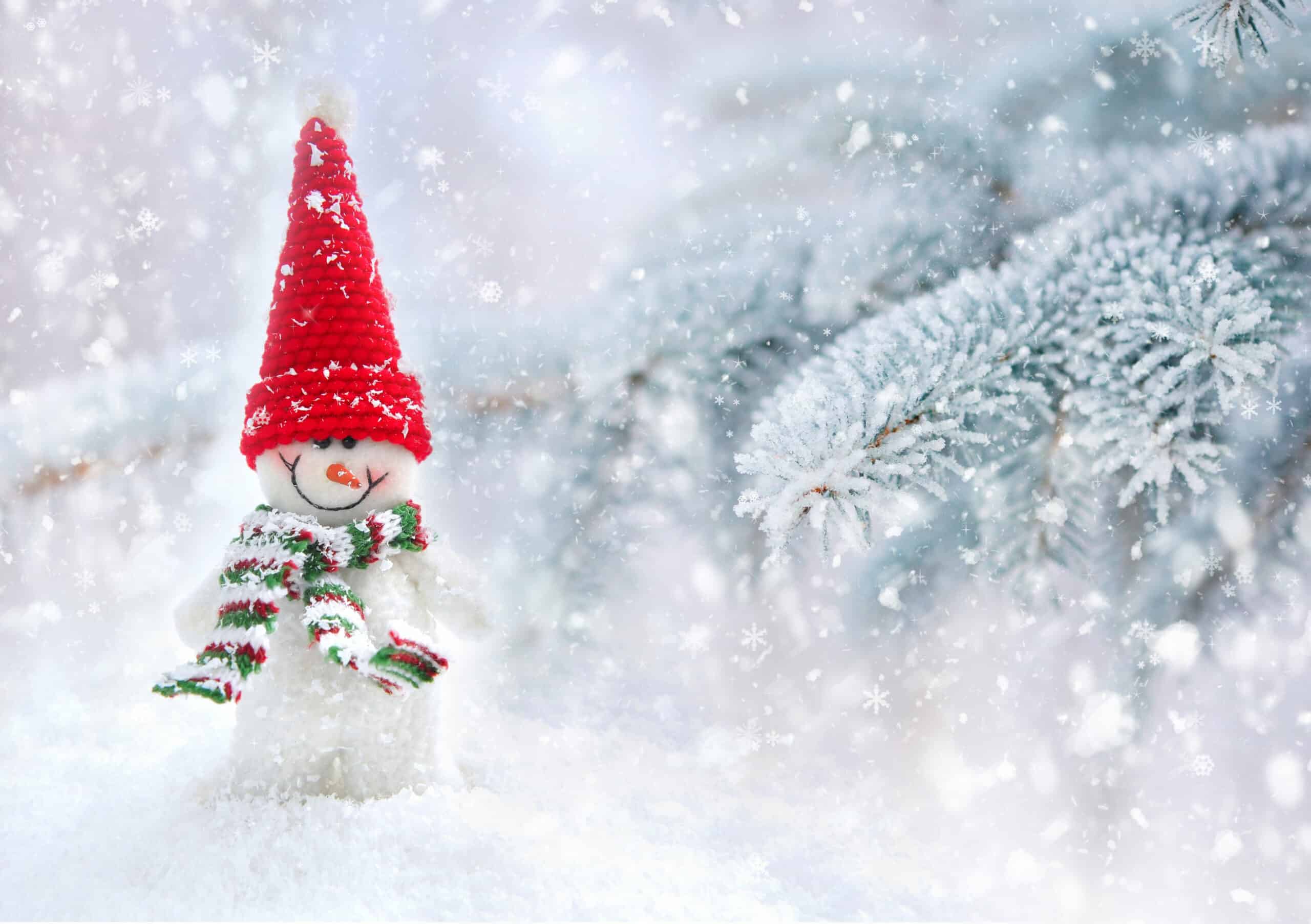 snowman in the snow